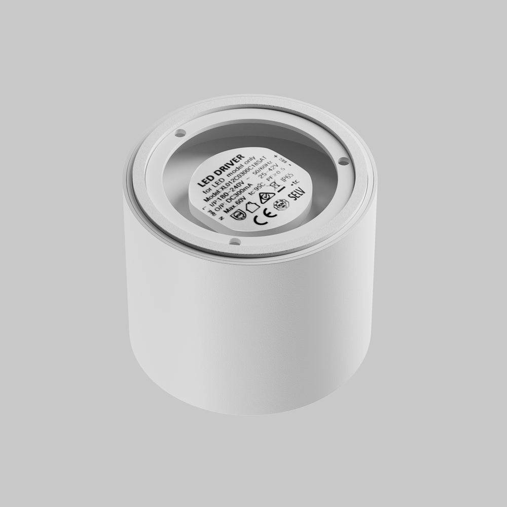 Vue arrière du luminaire montrant le driver LED et son étiquette technique.