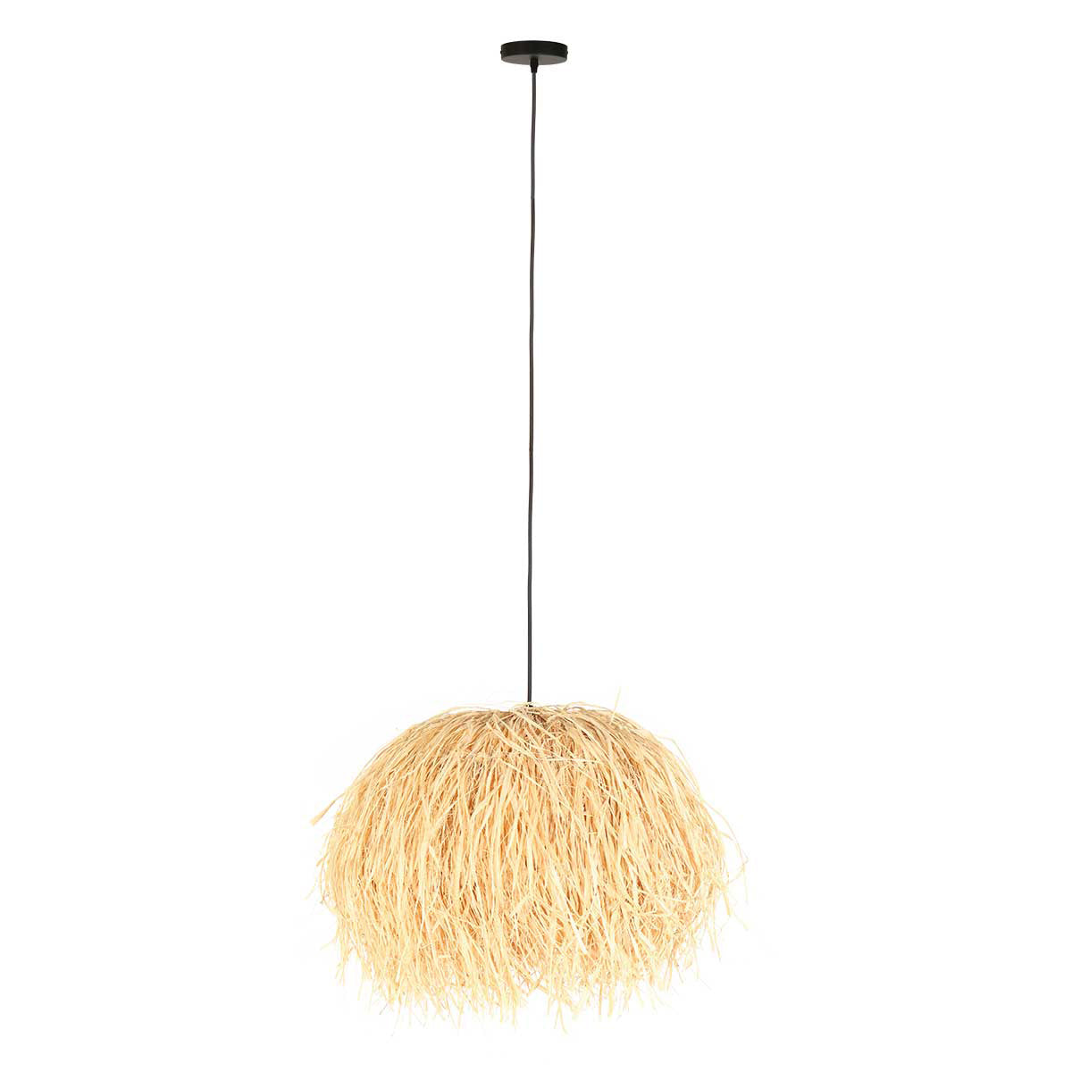 Vue d'ensemble du luminaire suspendu avec rosace noire et longue suspension