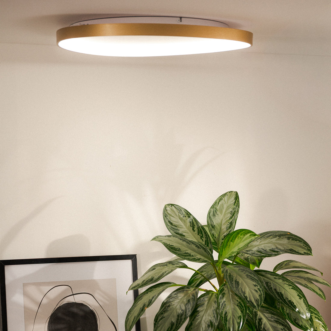 Plafonnier LED | Liria