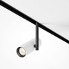 Elti Black spotlight