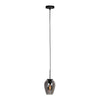 HaloSwap 4290ZW – Black pendant light with a teardrop-shaped smoked glass globe, 15 cm in diameter