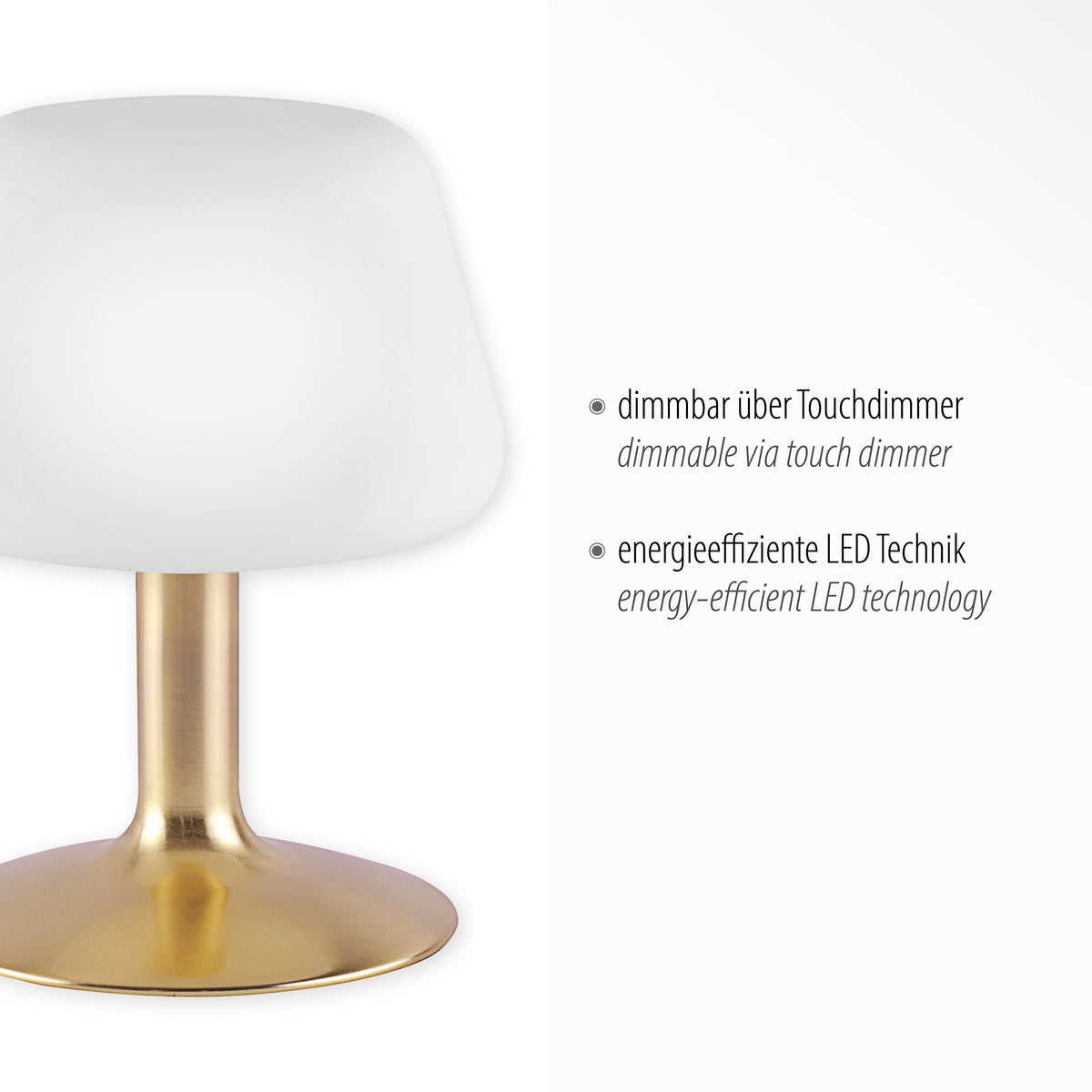 Gros plan sur l'abat-jour et le pied, avec texte mentionnant variateur tactile et LED.