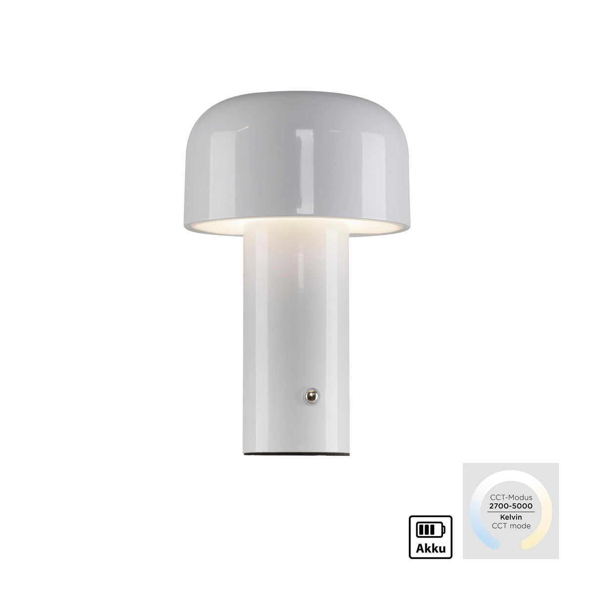 Produit isolé sur fond blanc avec pictogrammes batterie et température de couleur variable.