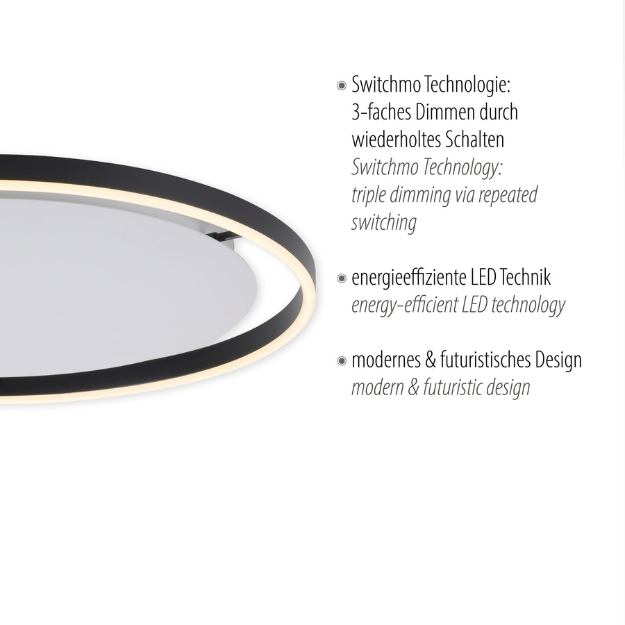 Détail du luminaire avec texte allemand et anglais sur la technologie Switchmo.