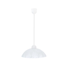 Suspension luminaire | Alcara
