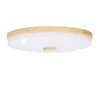 Plafonnier LED | Lemo