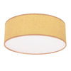 Luminaire plafonnier | Sfondo
