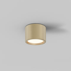 Hydra Gold Ceiling Lamp