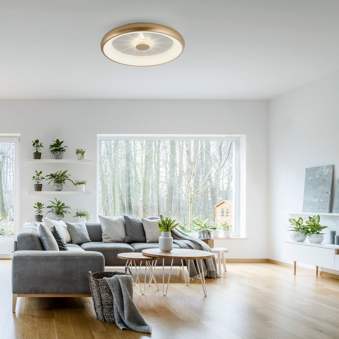 Plafonnier LED | Vertigo L 61,5 cm