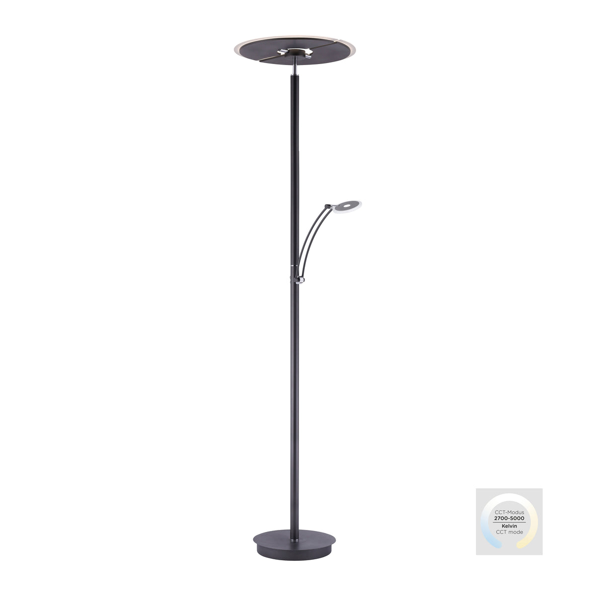 Lampadaire anthracite sur fond blanc avec badge CCT module 2700 à 5000 Kelvin.