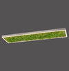 Plafonnier LED | Green Knut
