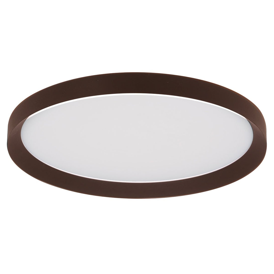 Flady Ceiling Light