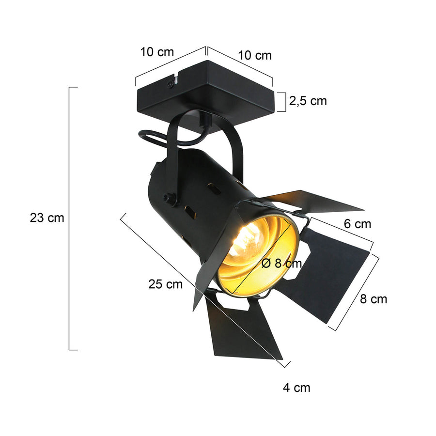 Black Metal Ceiling Light with Gold Interior