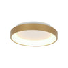 Gold Ringlede ceiling light