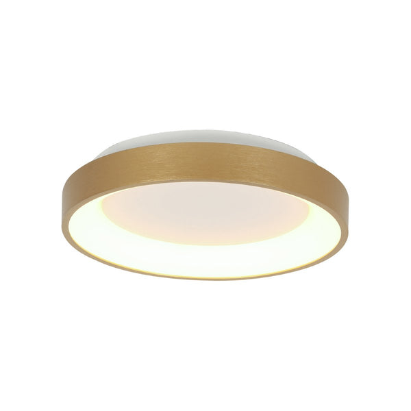 Gold Ringlede ceiling light