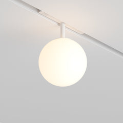 Luna White spotlight