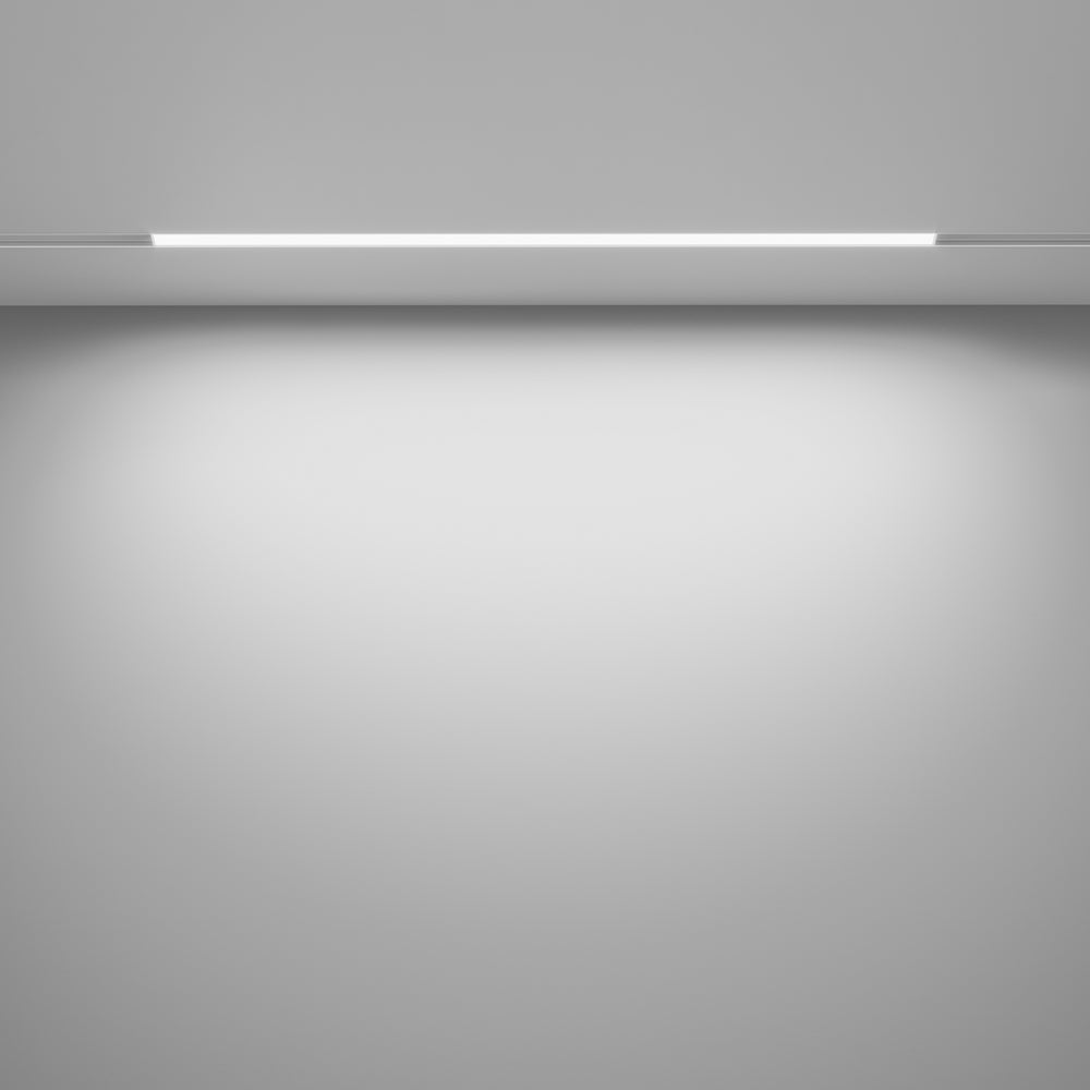 Basis Spot blanc