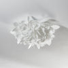 Applique murale | Veli Foliage Mini