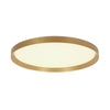 Flady white ceiling light