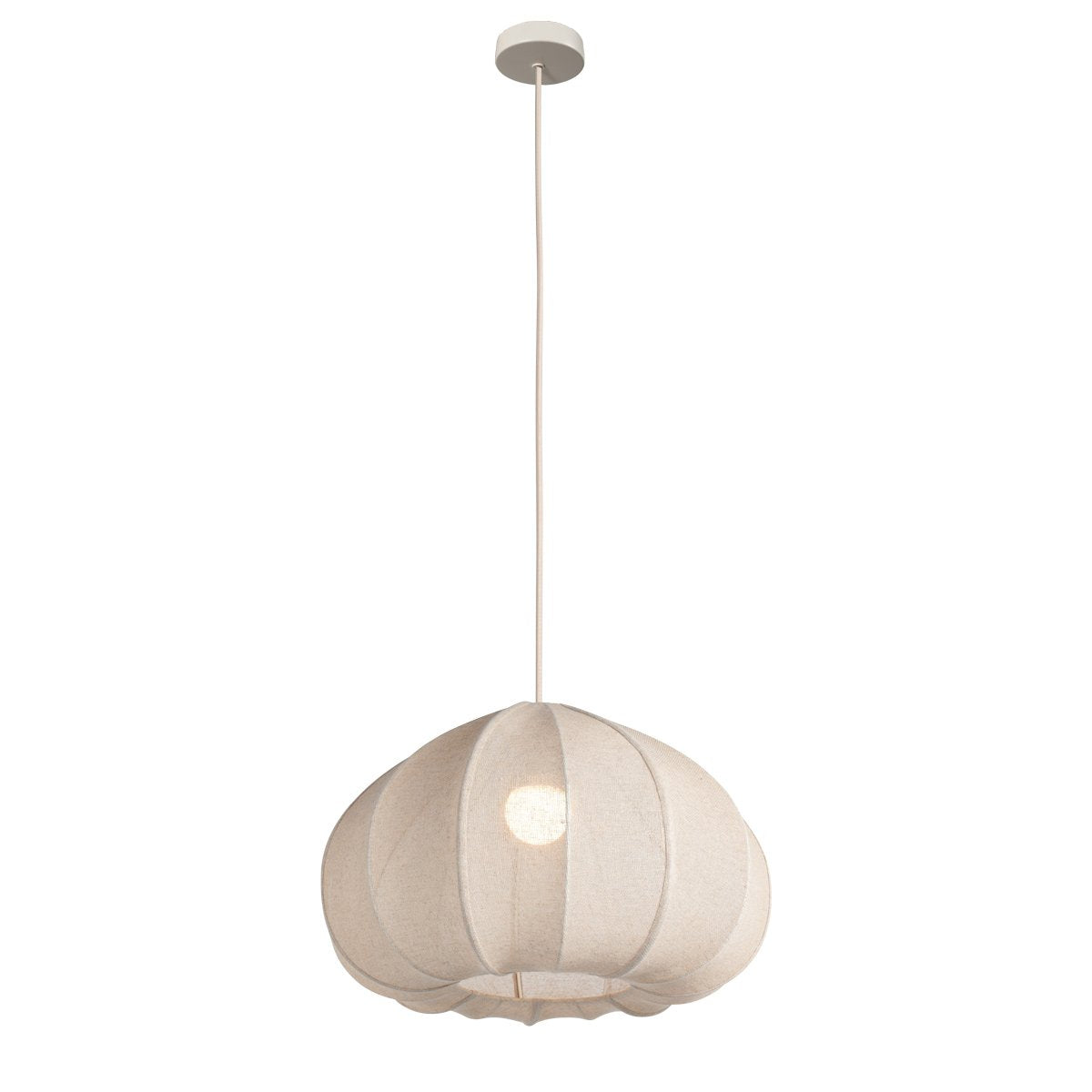 Vue d'ensemble du luminaire suspendu, câble long et rosace blanche
