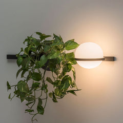 Applique murale LED Palma 3702 en aluminium, graphite, 2 lumières, hauteur 22 cm