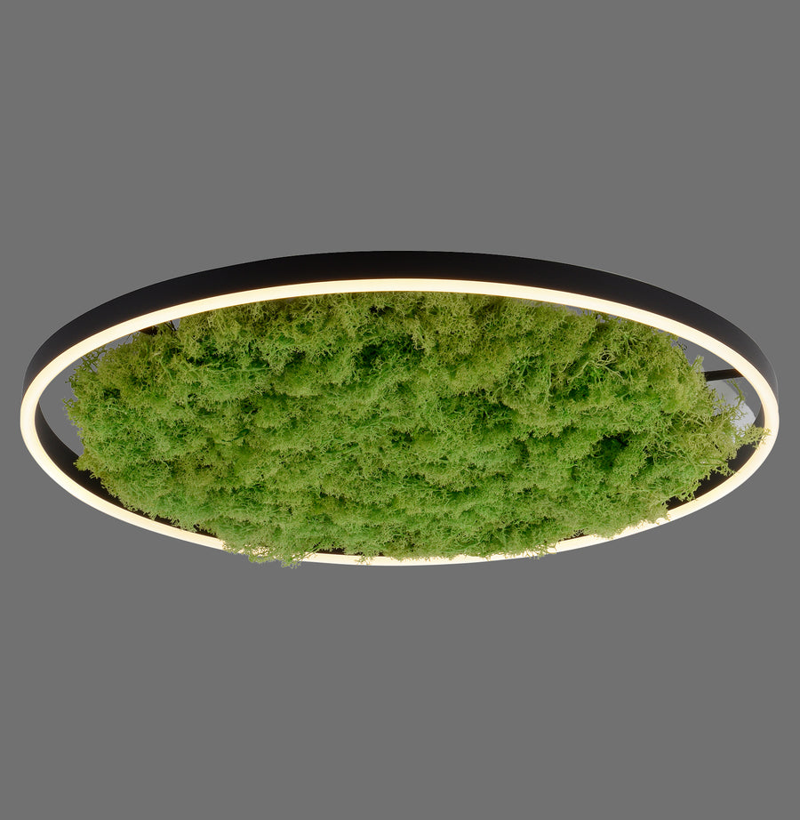 Plafonnier Green Ritus, L 58,5 cm