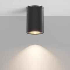 Black Roll light fixture