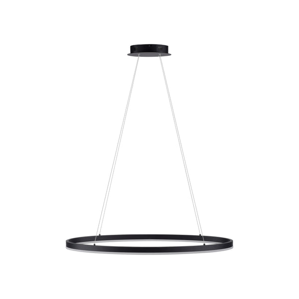 Suspension luminaire | Titus Anthracite