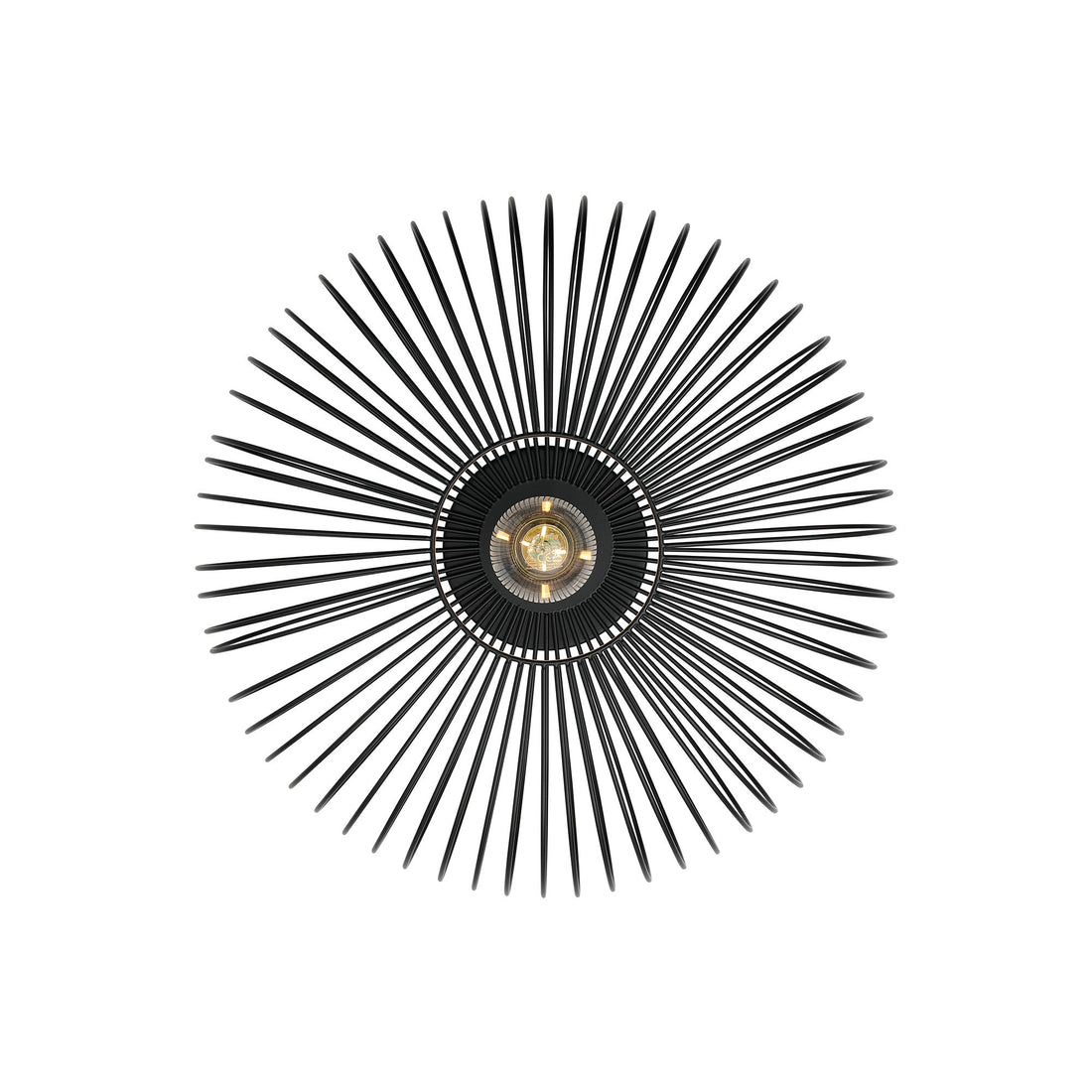 Luminaire plafonnier | Beroni Noir