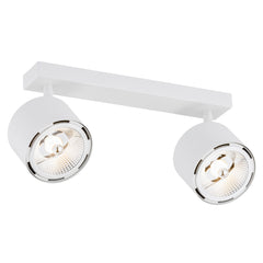 Clevland 2-light ceiling light