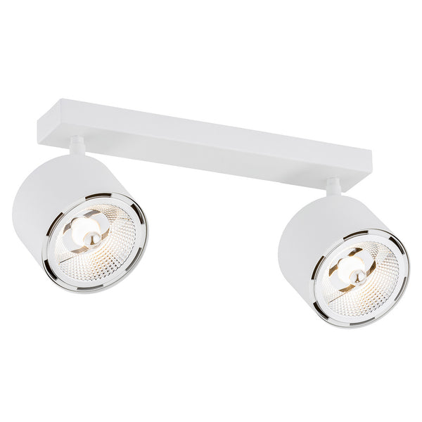 Clevland 2-light ceiling light