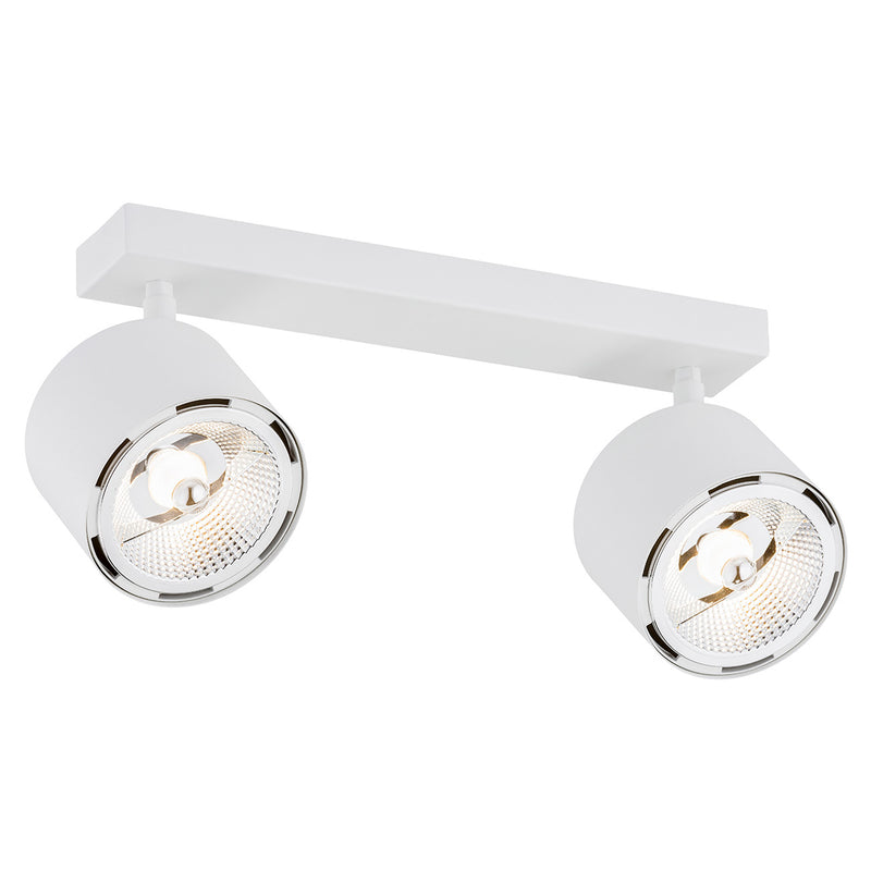 Clevland 2-light ceiling light