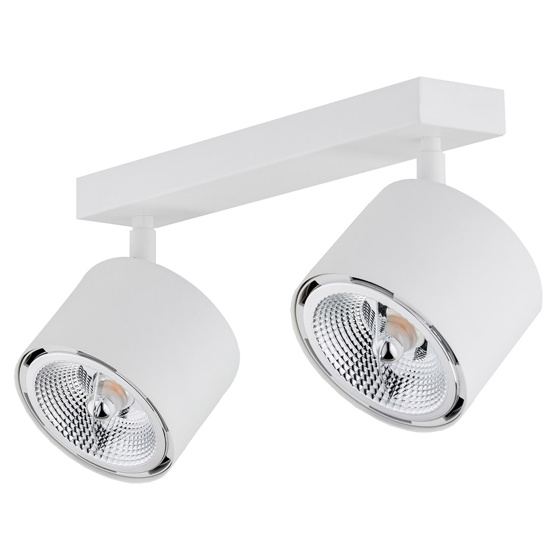 Clevland 2-light ceiling light
