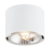 Clevland 1-light ceiling light