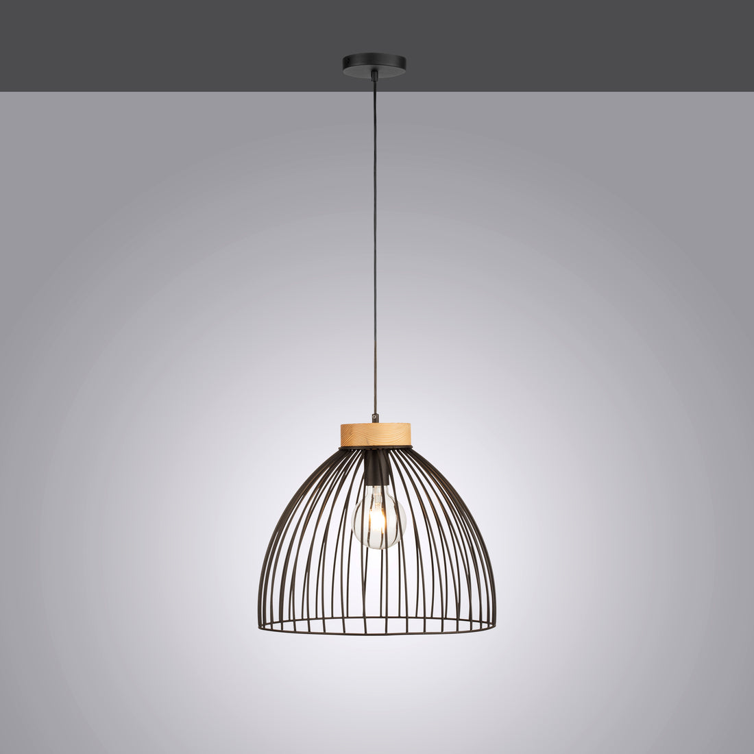 Suspension luminaire | Lami