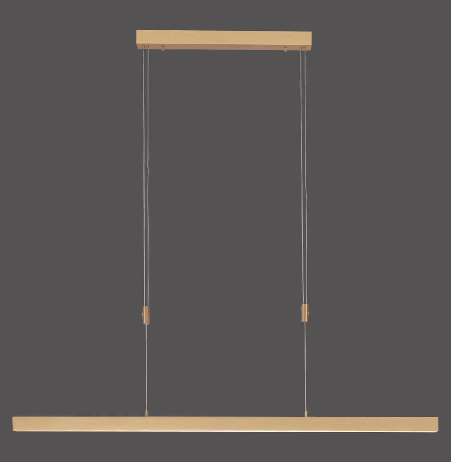 Vue de face sur fond gris : suspension linéaire à deux câbles et barre horizontale.