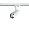 Spot LED | Amy