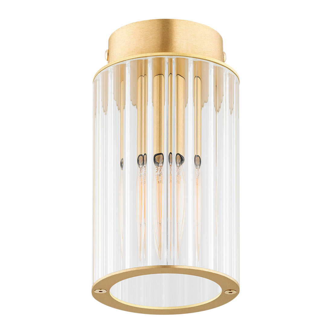 Hampton 1-Light Ceiling Light