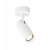 Linca 1-light spotlight