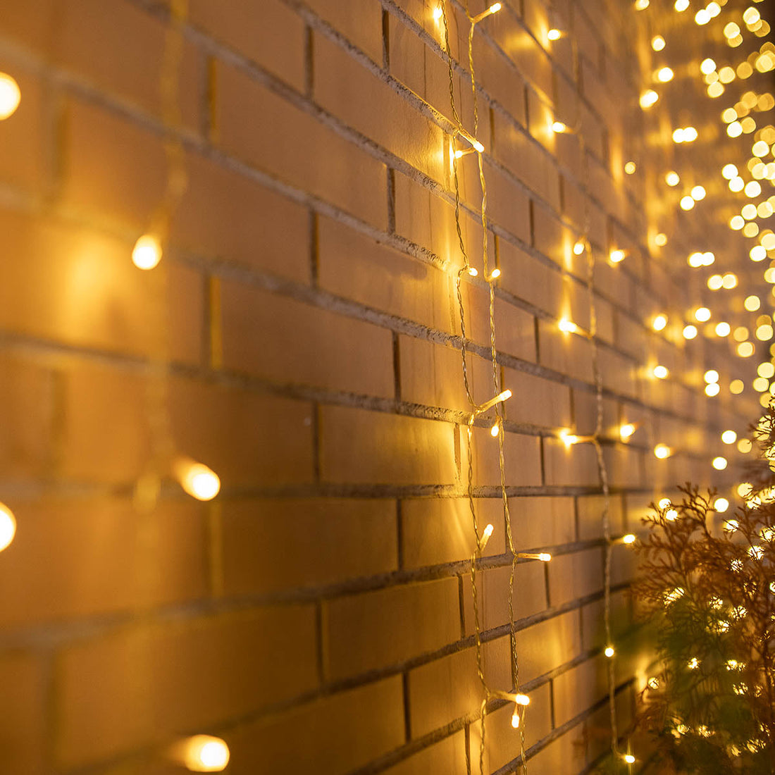 Luceo outdoor curtain lights 3 x 2 m