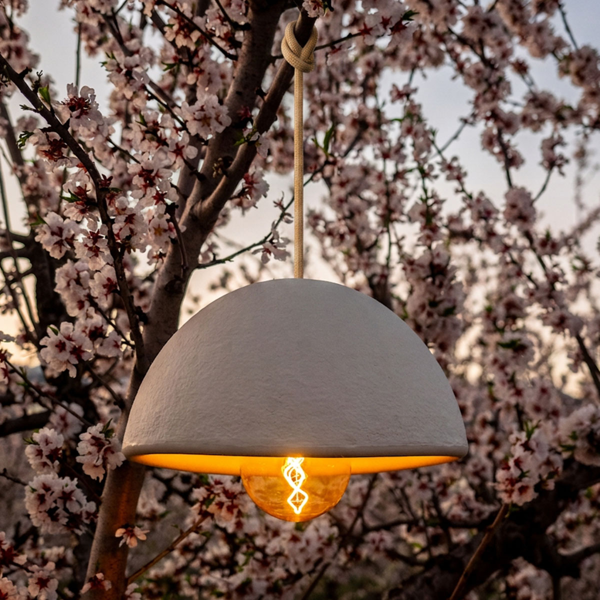 Attache en corde nouée autour d'une branche, suspension blanche allumée parmi les fleurs printanières.