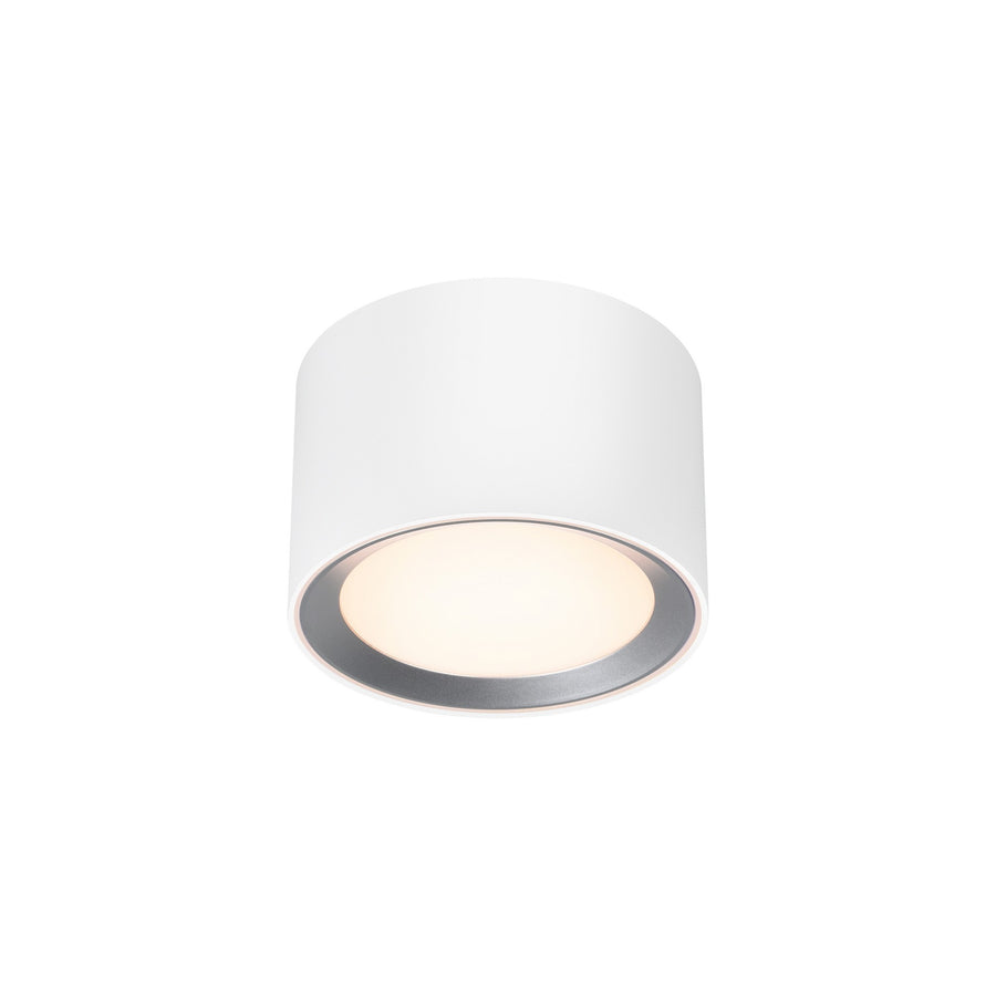 Plafonnier LED Landon Smart
