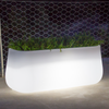 Camelia illuminated planter