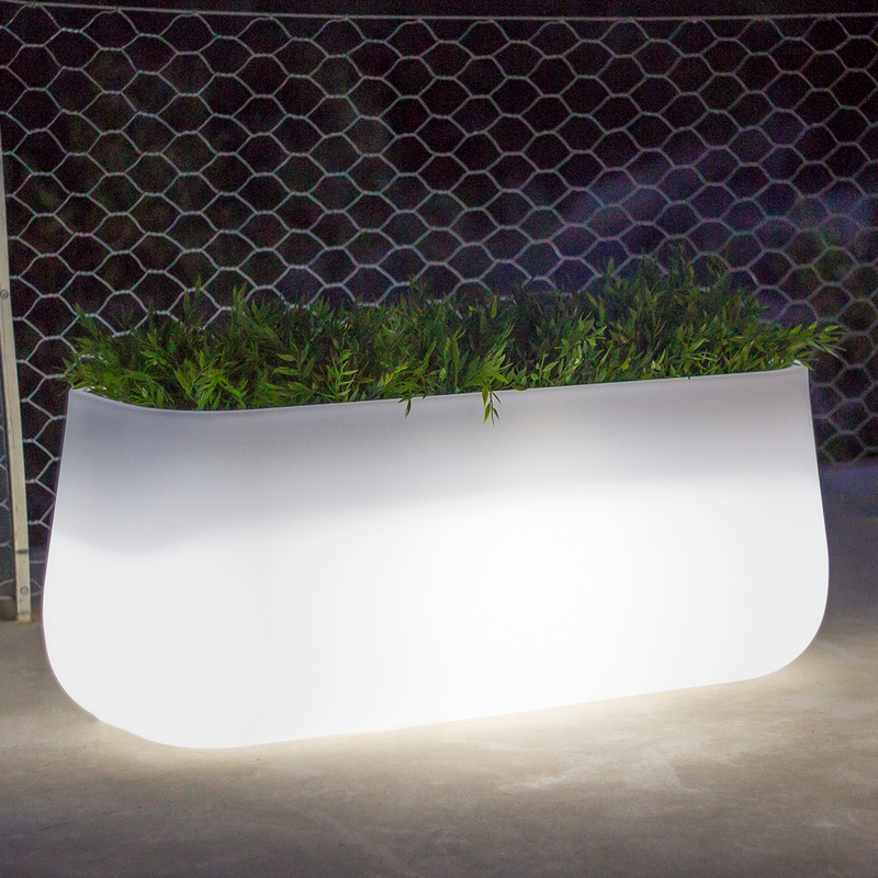 Camelia illuminated planter