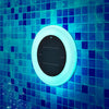 Papaya 30 wireless solar pool lamp