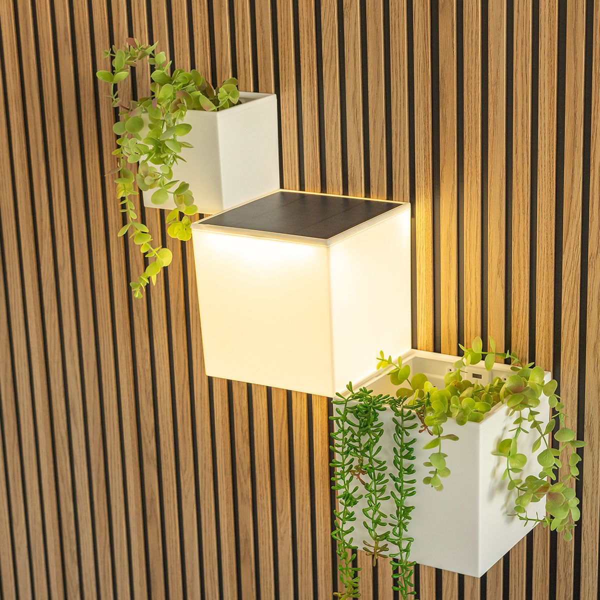 Mise en ambiance nocturne avec deux jardinières blanches et lampe solaire entre elles