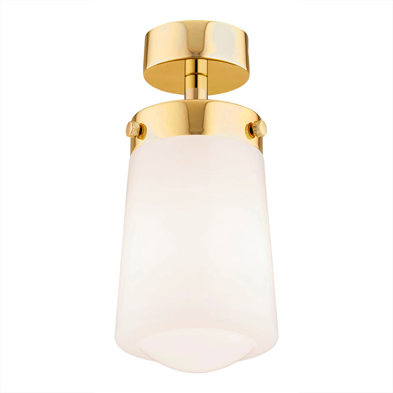 Pasadena 1-light ceiling light