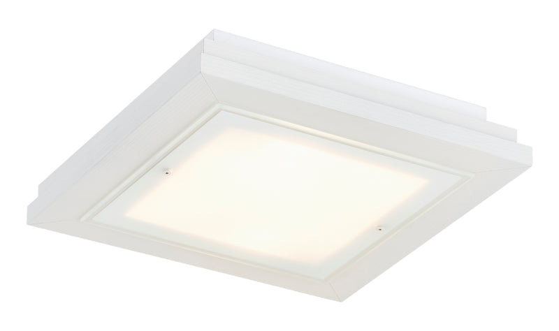 Tabor 2-light ceiling light
