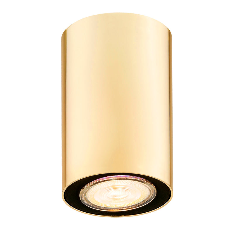 Tyber Plus Ceiling Light