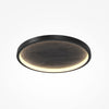 Orign Black ceiling light